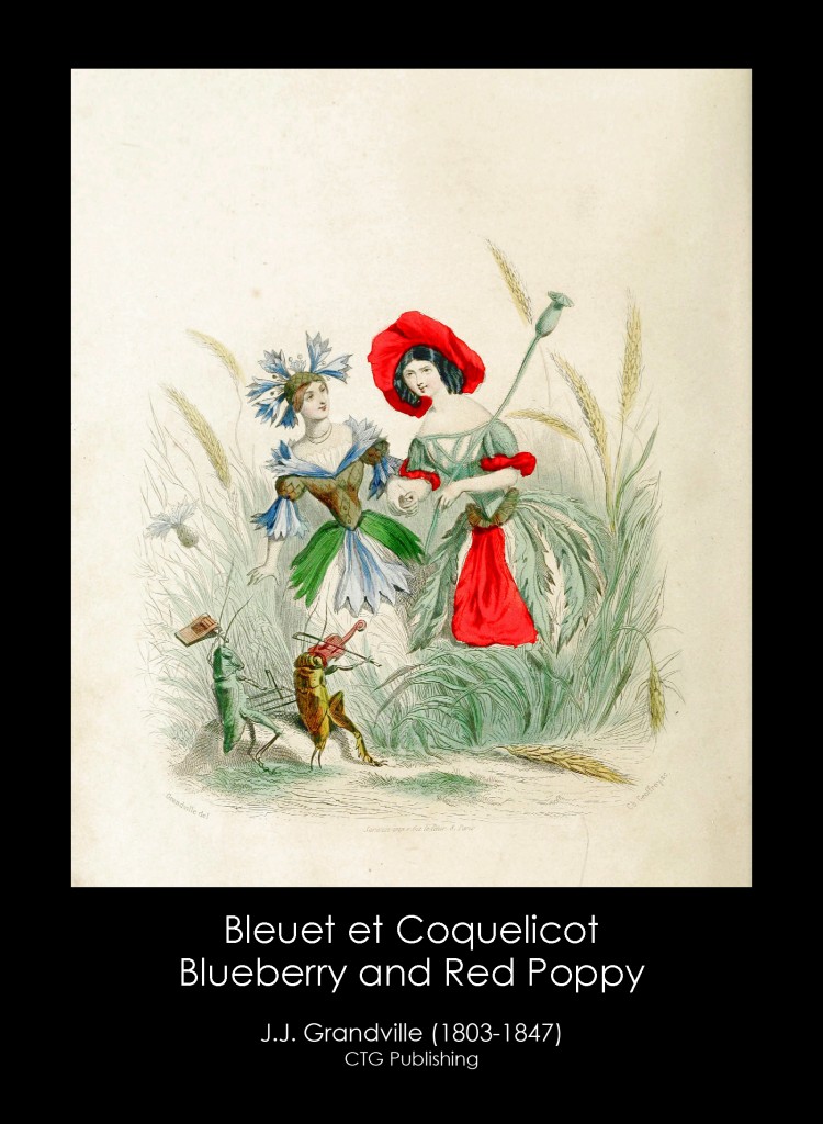 Blueberry and Red Poppy Illustration From J. J. Grandville's Animated Flowers