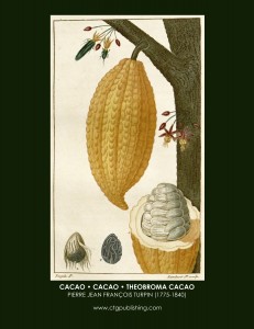 Cacao Plant by Botanical Artist – Pierre Jean François (P.J.F.) Turpin (1775-1840)