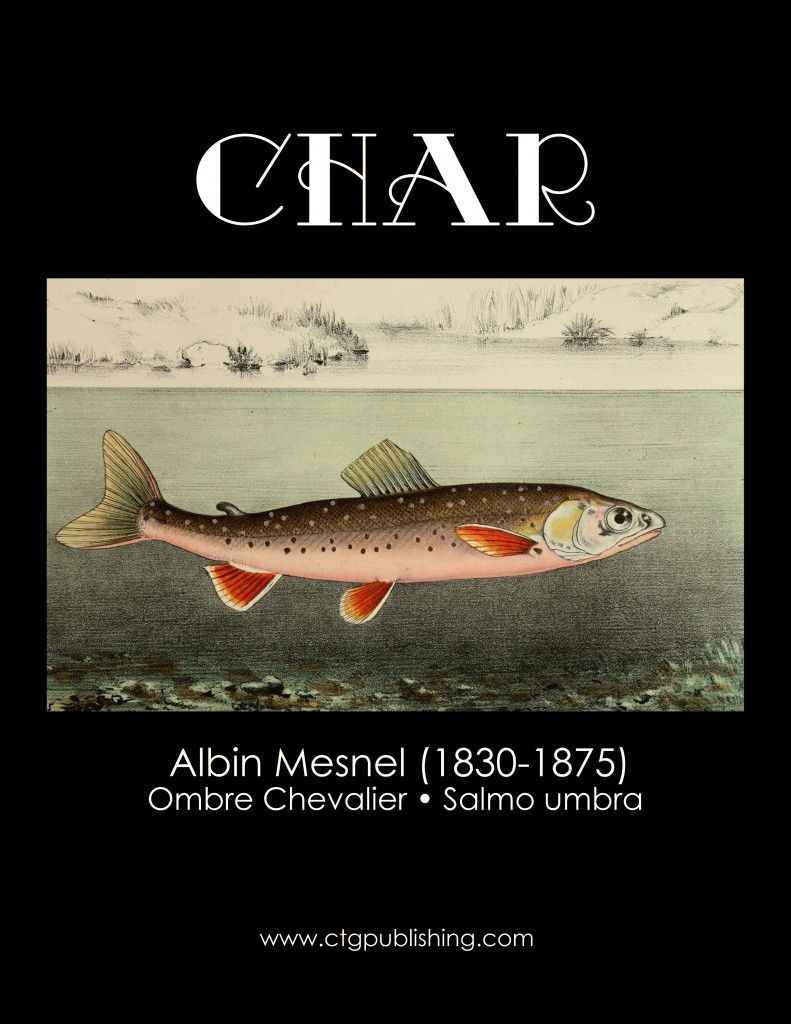 Char - Fish Illustration by Albin Mesnel