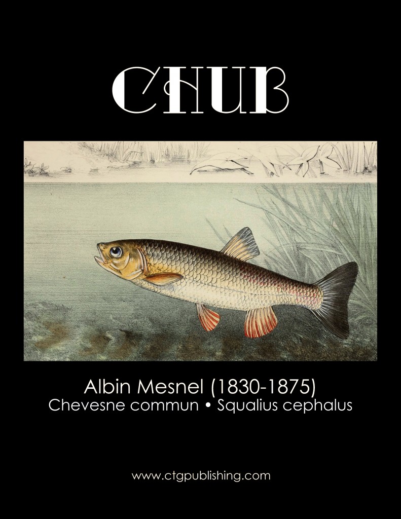 Chub - Fish Illustration by Albin Mesnel