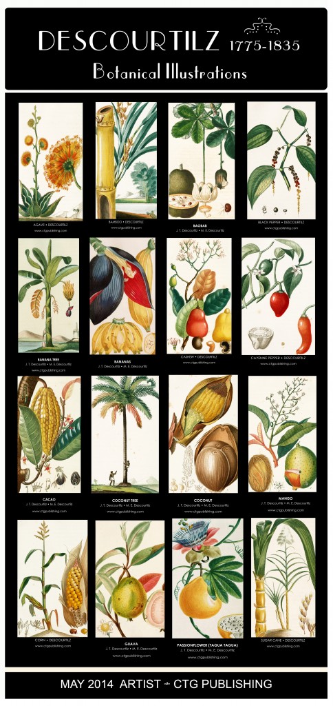 Descourtilz Botanical Illustrations - CTG Publishing May 2014 Artist of the Month