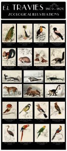 Edouard Travies Animal Prints Composite