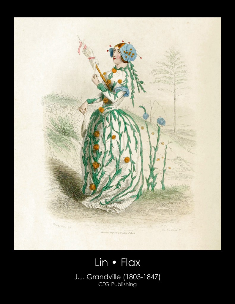 Flax Illustration From J. J. Grandville's Animated Flowers