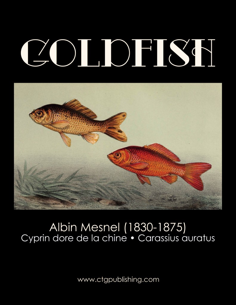 Goldfish - Fish Illustration by Albin Mesnel
