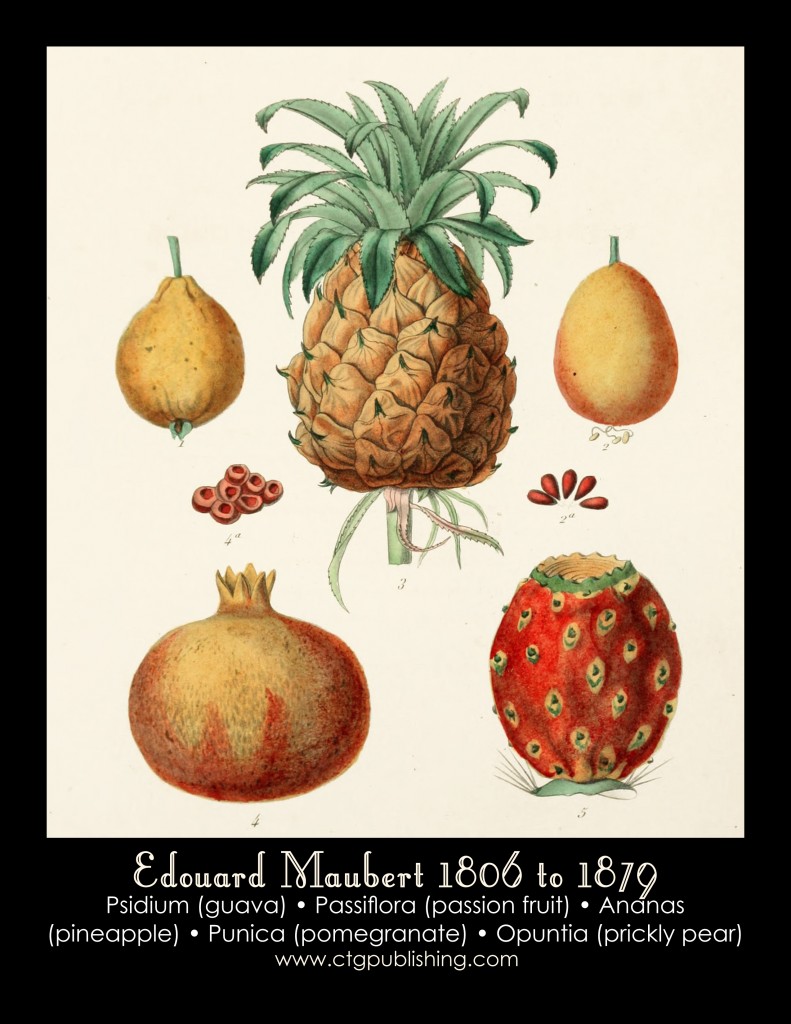 Guava, Passion Fruit, Pineapple, Pomegranate and Prickly Pear Illustration by Edouard Maubert