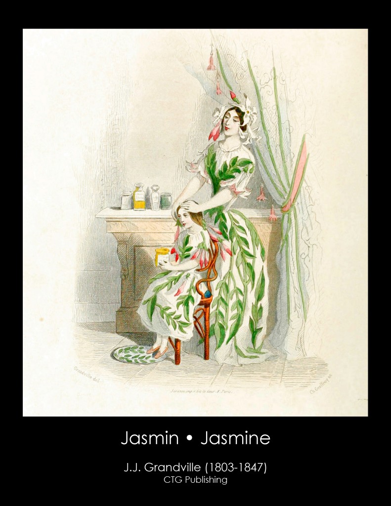 Jasmine Illustration From J. J. Grandville's Animated Flowers