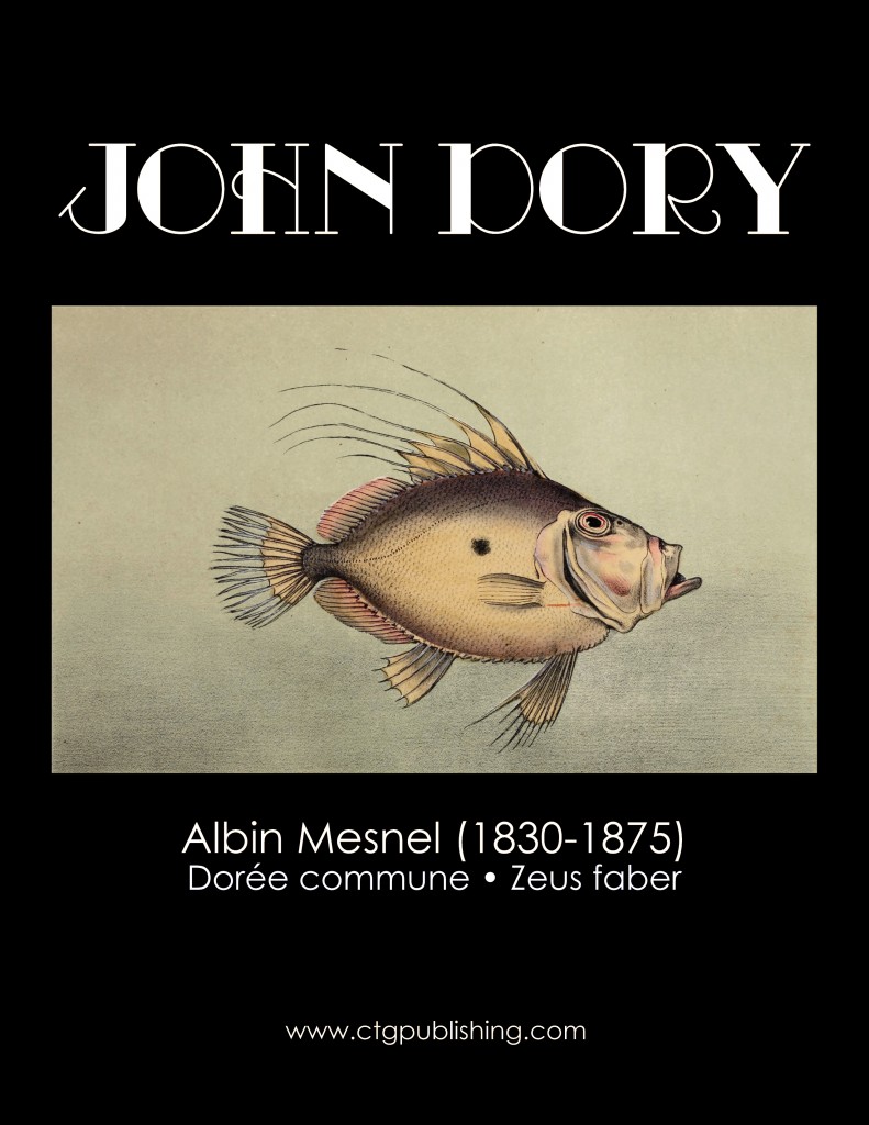 John Dory - Fish Illustration by Albin Mesnel