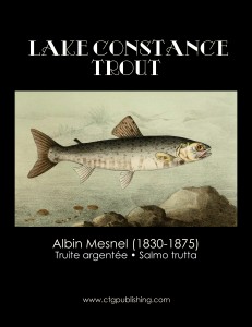 Lake Constance Trout - Fish Illustration by Albin Mesnel