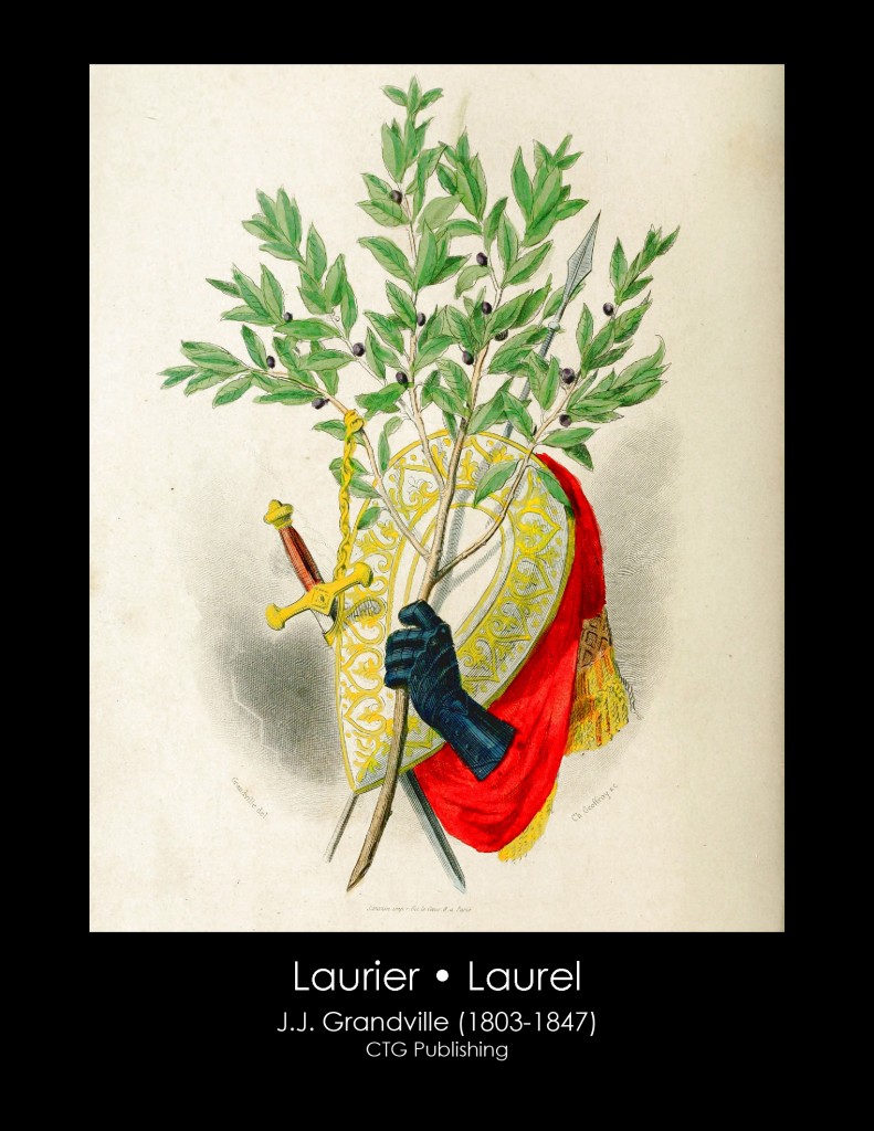 Laurel From J. J. Grandville's Animated Flowers