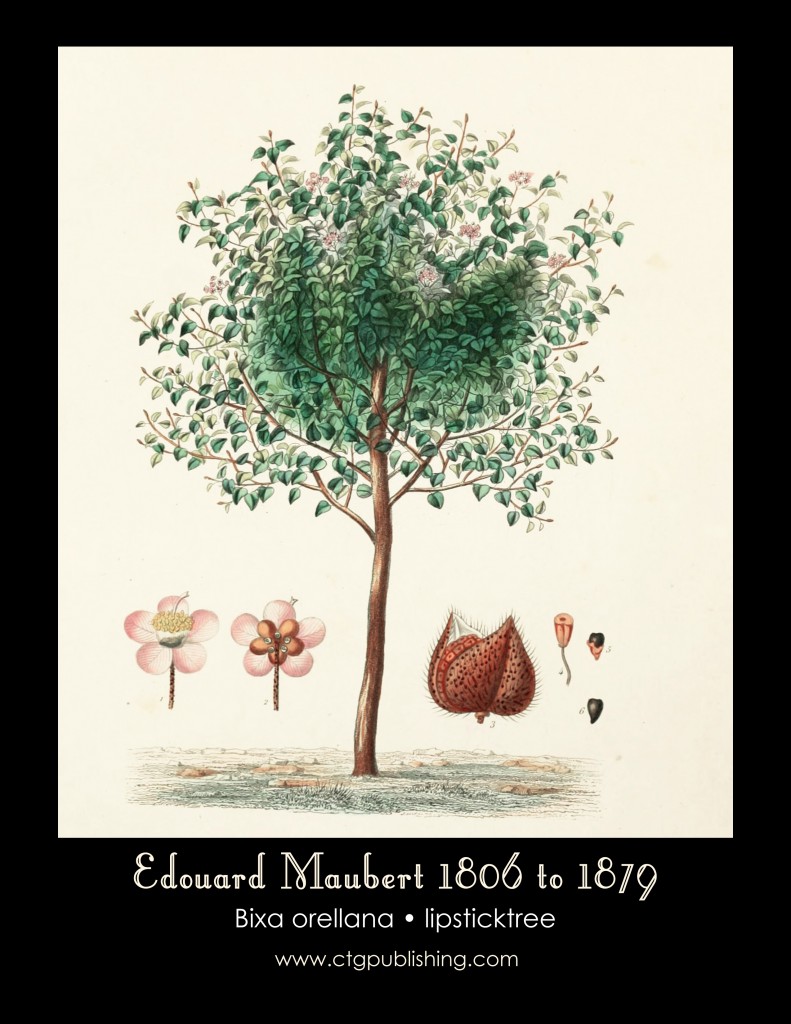 Lipstick Tree Illustration by Edouard Maubert