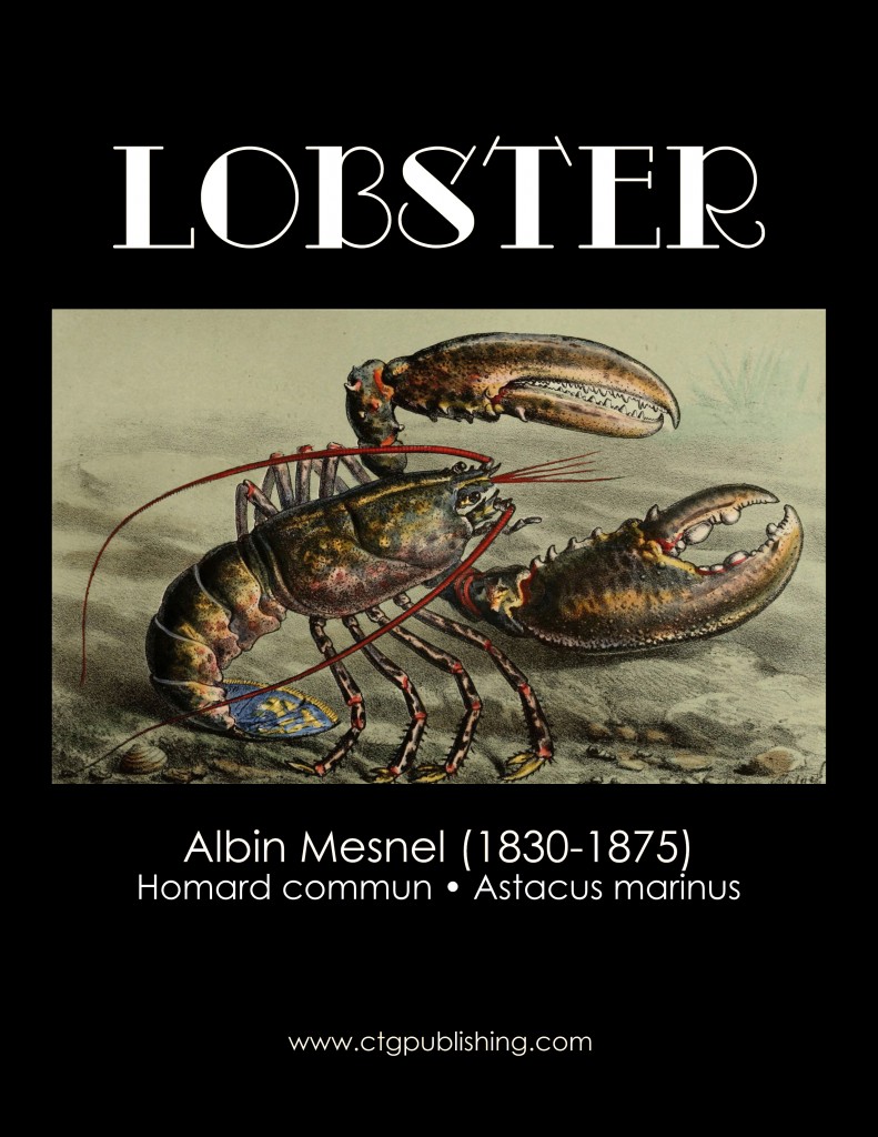Lobster - Fish Illustration by Albin Mesnel