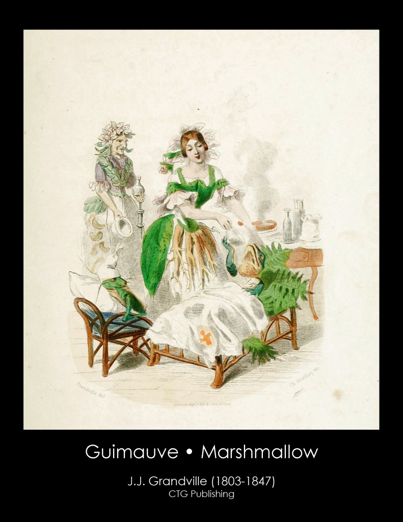 Marshmallow Plant Illustration From J. J. Grandville's Animated Flowers