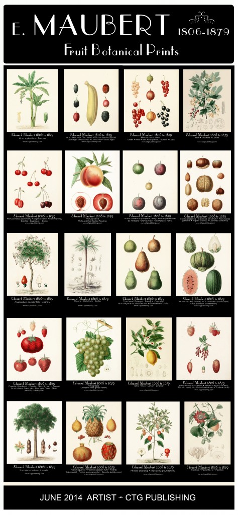Maubert's Fruit - Botanical Prints