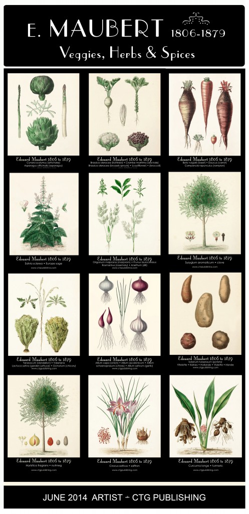 Maubert's Veggies, Spices and Herbs - Botanical Prints
