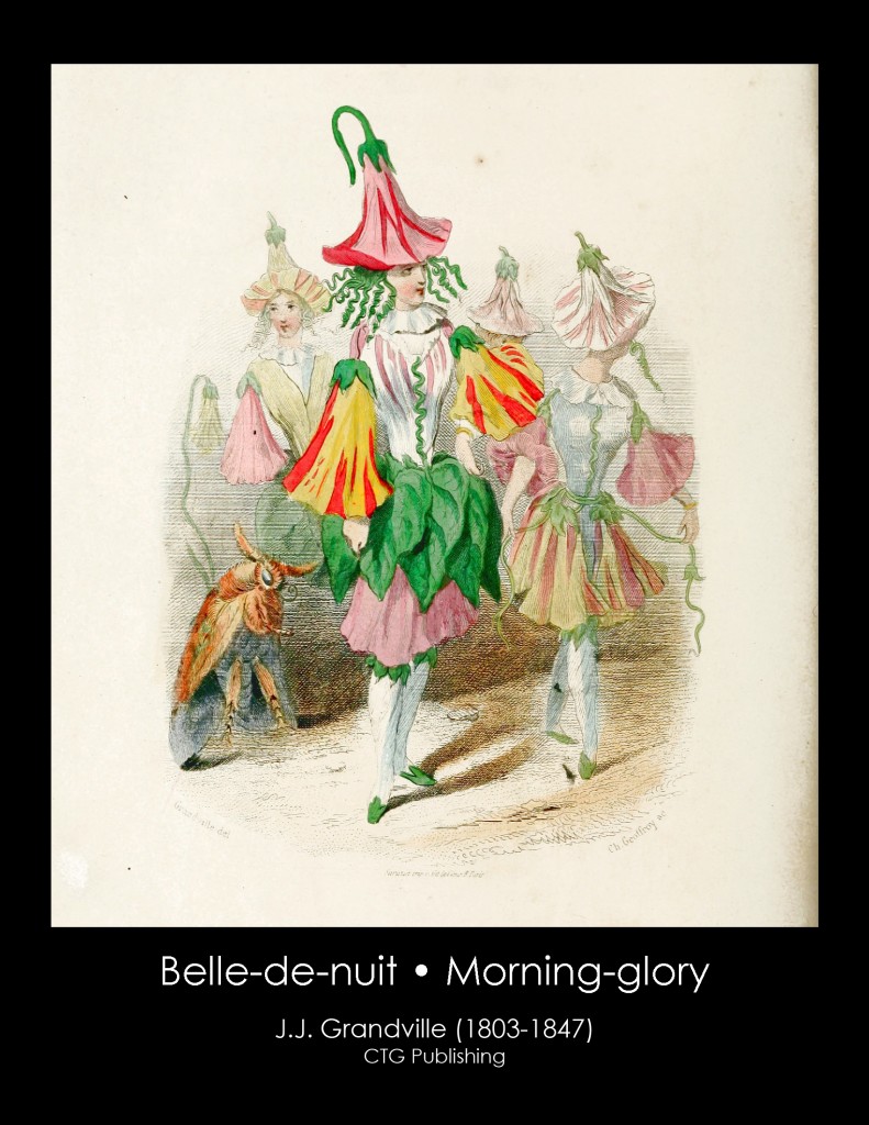 Morning Glory Illustration From J. J. Grandville's Animated Flowers