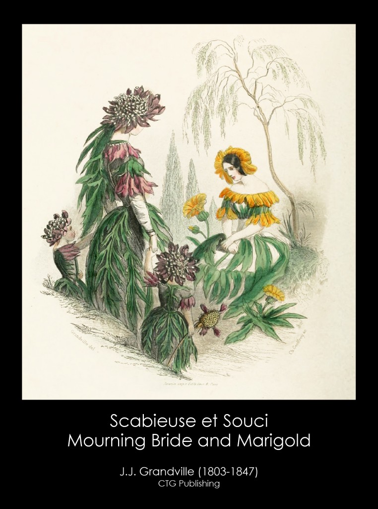 Mourning Bride and Marigold Illustration From J. J. Grandville's Animated Flowers