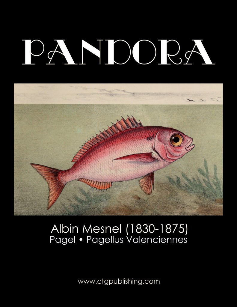 Pandora - Fish Illustration by Albin Mesnel