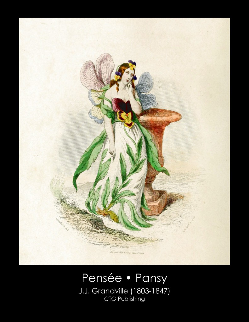 Pansy Illustration From J. J. Grandville's Animated Flowers