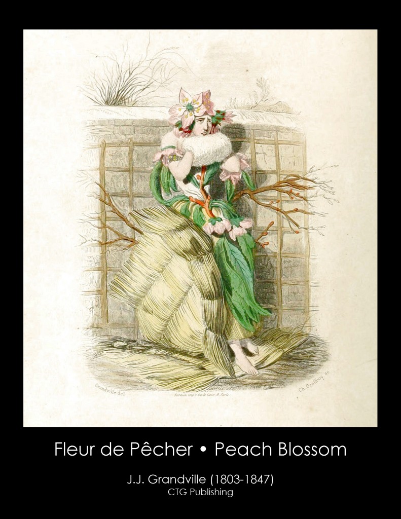 Peach Blossom Illustration From J. J. Grandville's Animated Flowers
