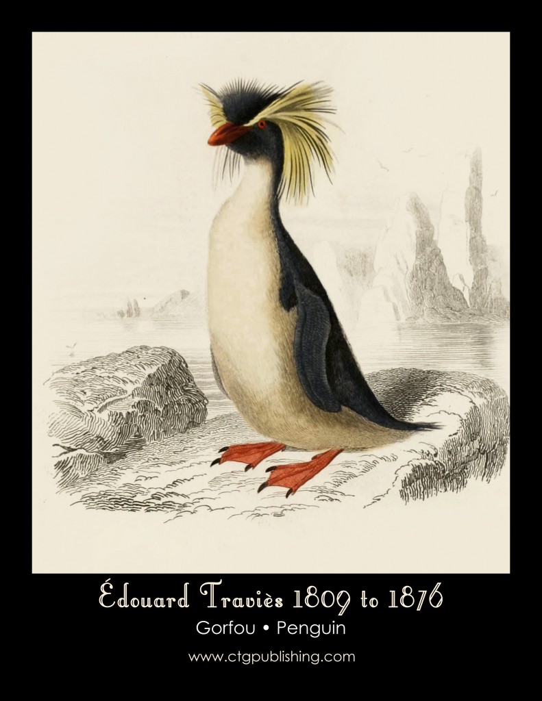 Penguin - Illustration by Edouard Travies
