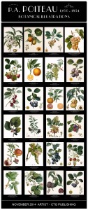 Pierre Antoine Poiteau Botanical Illustrations - Artist of the Month November 2014