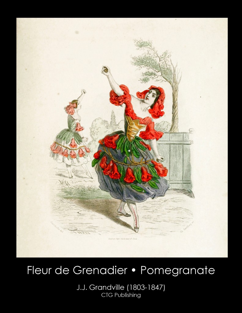 Pomegranate Flower Illustration From J. J. Grandville's Animated Flowers