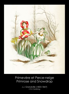 Primrose and Snowdrop Illustration From J. J. Grandville's Animated Flowers