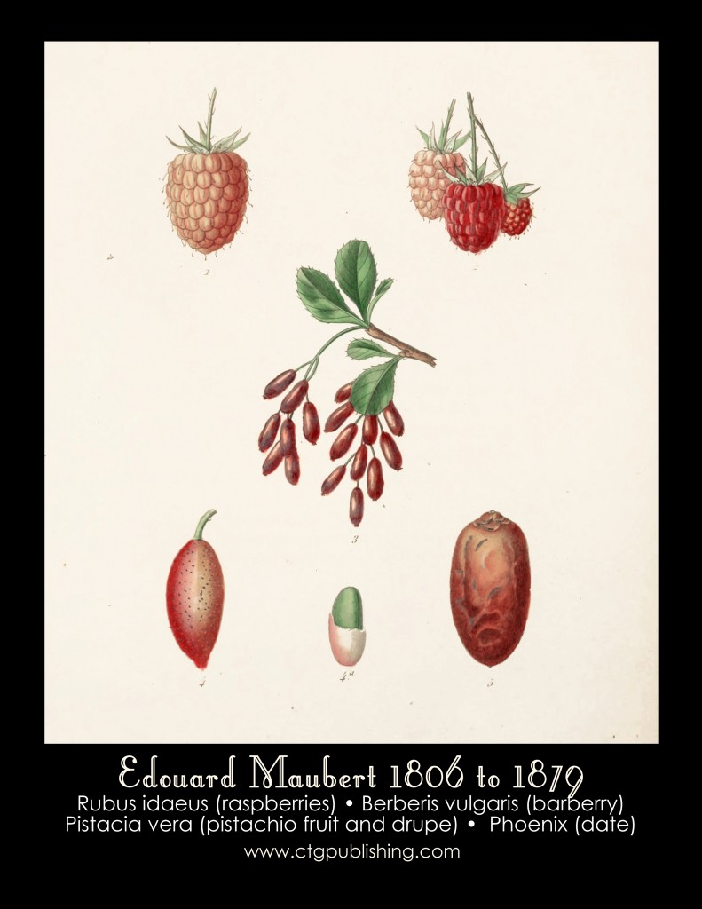 Raspberry, Barberry, Pistachio and Date Illustration by Edouard Maubert
