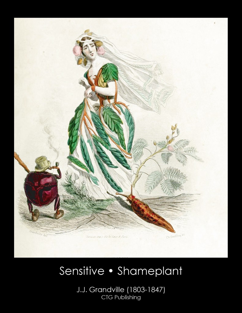 Shameplant Illustration From J. J. Grandville's Animated Flowers