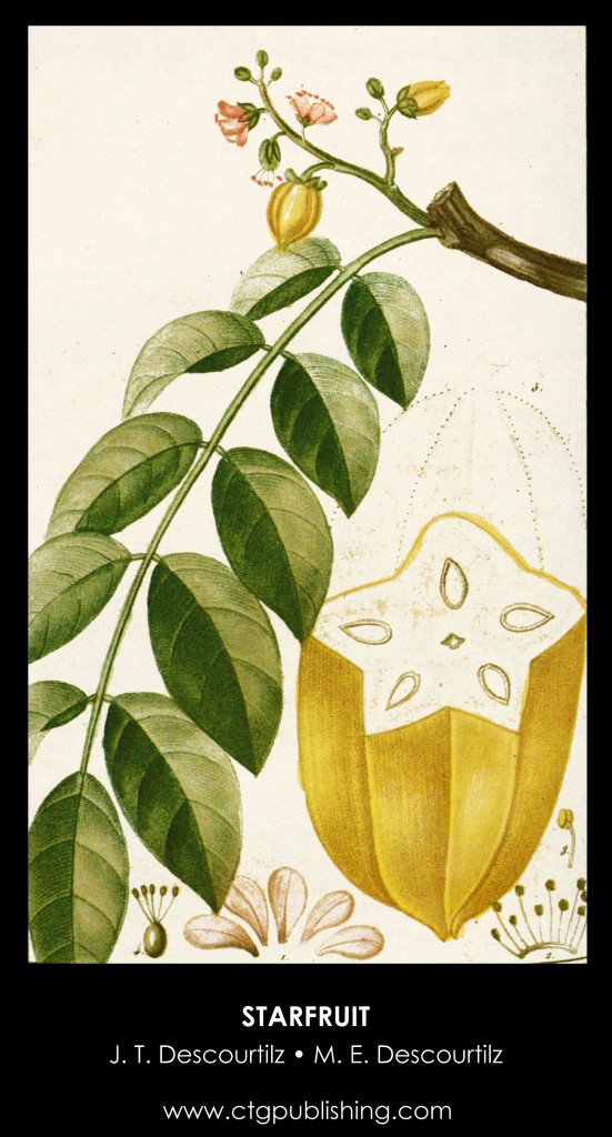 Starfruit Illustration by Descourtilz