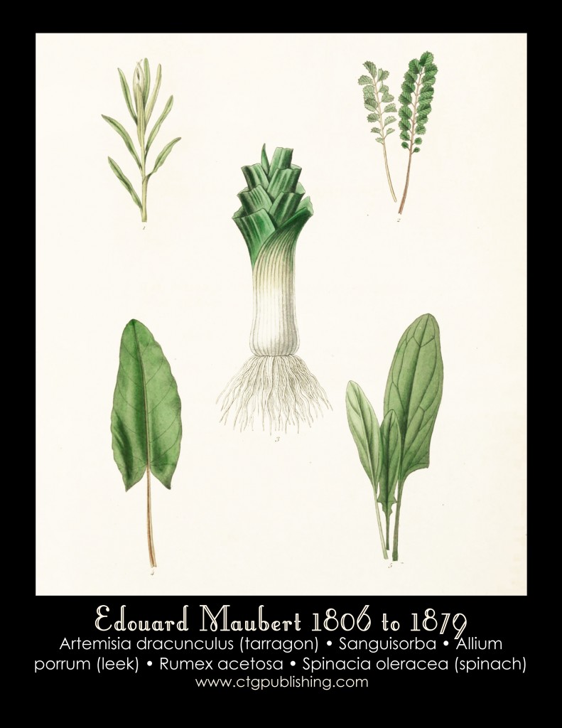 Tarragon, Leek and Spinach Illustration by Edouard Maubert