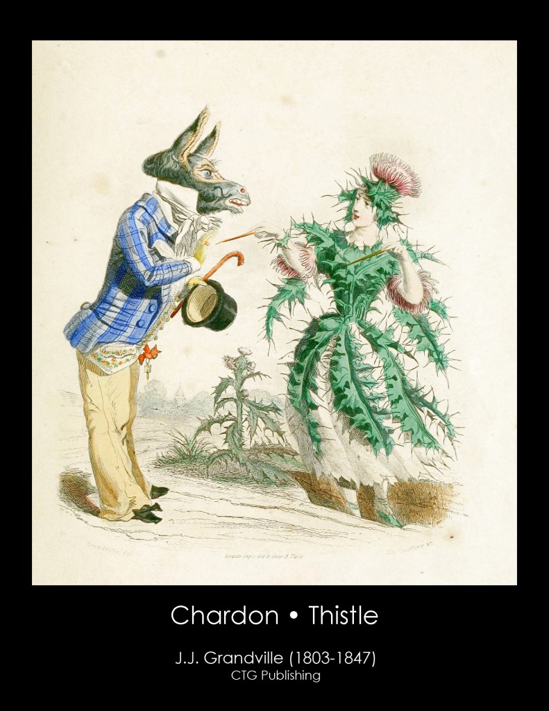 Thistle Illustration From J. J. Grandville's Animated Flowers