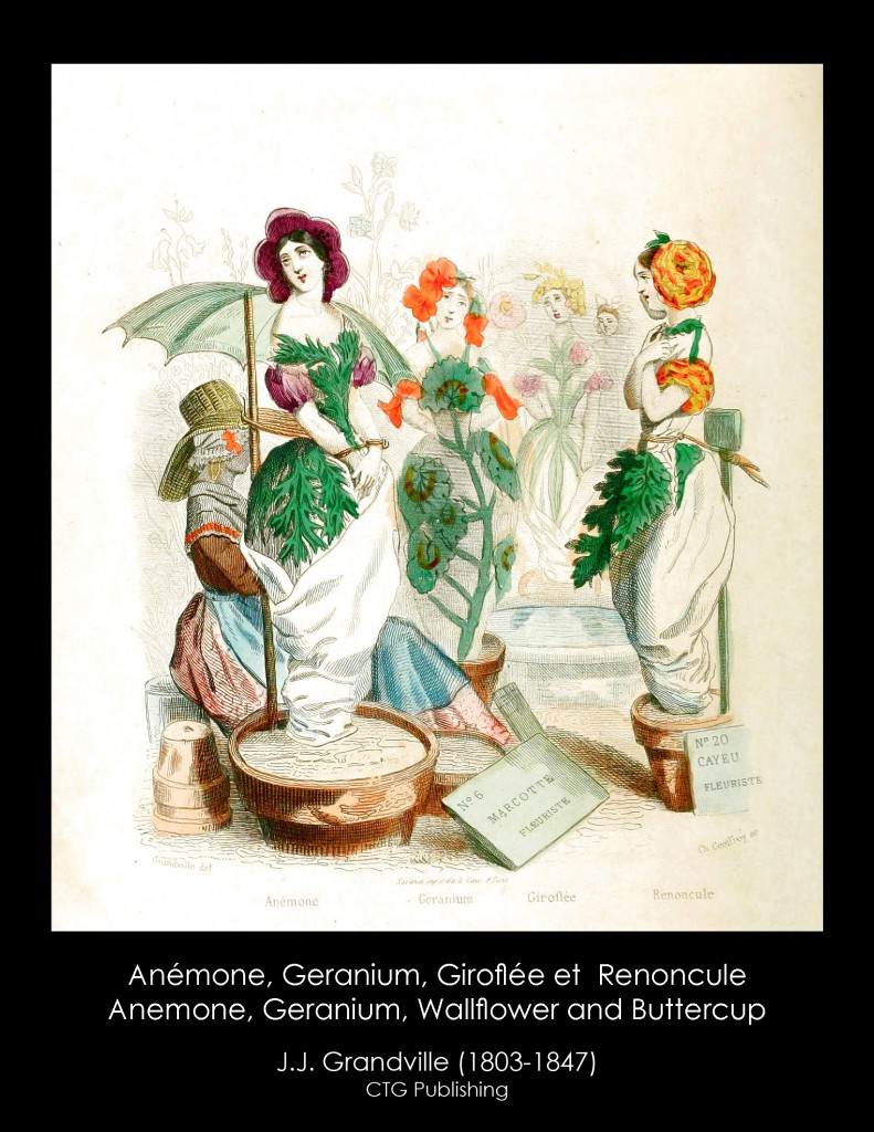 Wallflower, Anemone, Geranium and Buttercup Illustartion From J. J. Grandville's Animated Flowers