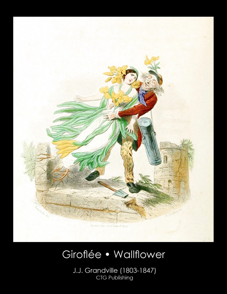 Wallflower Illustration From J. J. Grandville's Animated Flowers