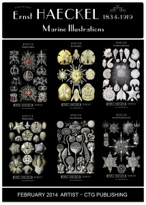 Ernst Haeckel - Marine Life Illustrations Half Banner