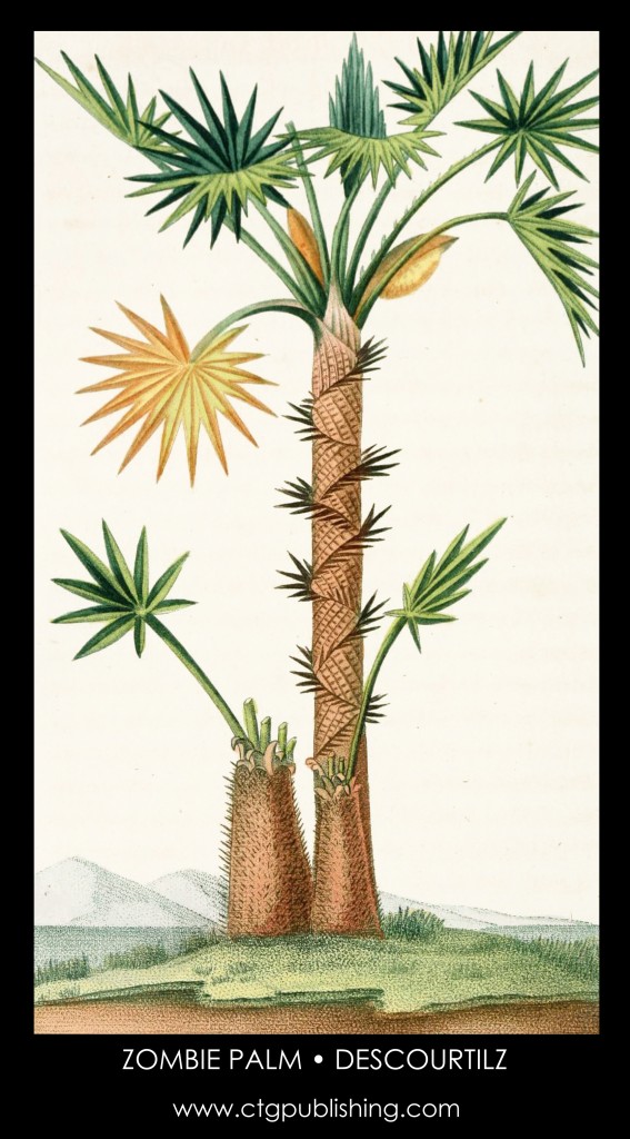 Zombie Palm Tree Illustration by Descourtilz