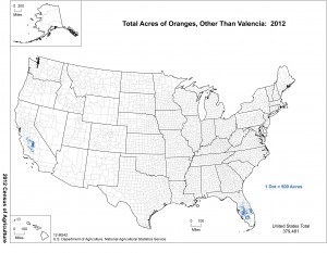 Map: 2012 United States Top Oranges Other than Valencia Producing Areas