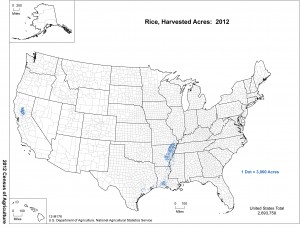 Map: 2012 United States Top Rice Producing Areas