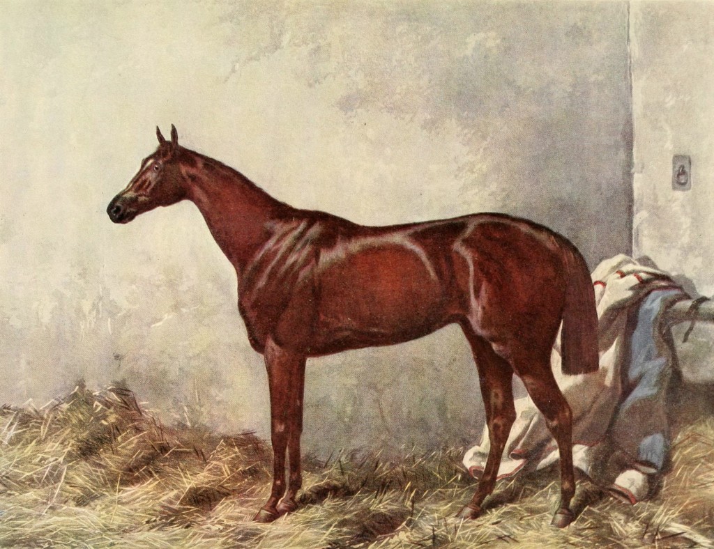 Hermit - Winner Of The Derby Stakes At Epsom 1867 By W Summers After Harry Hall