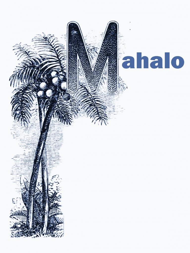 Mahalo Blue Design by CTG Publishing