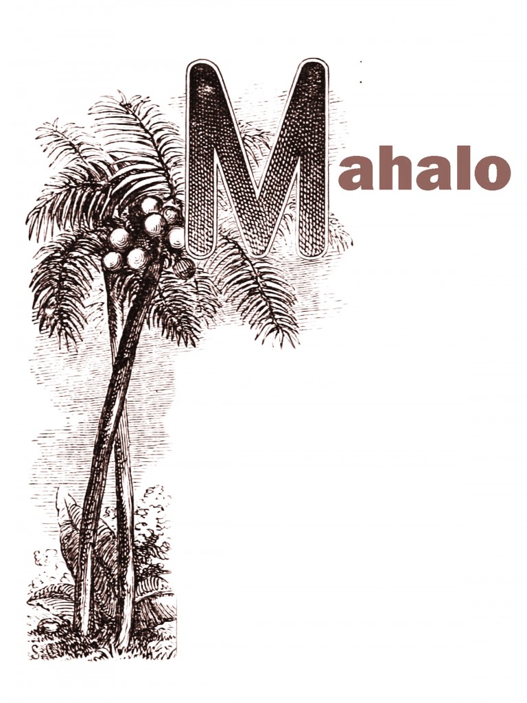 Mahalo Brown Design by CTG Publishing