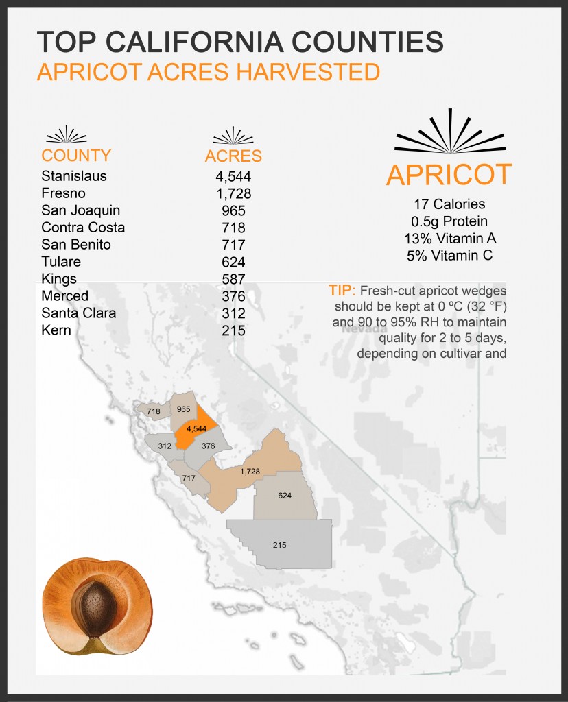 Apricot Production United States - California 
