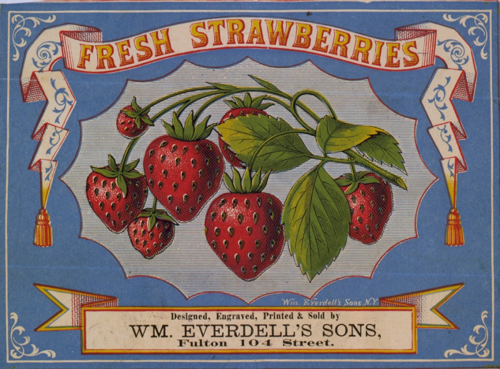 Fresh Strawberries - Strawberry Label circa 1868 - New York