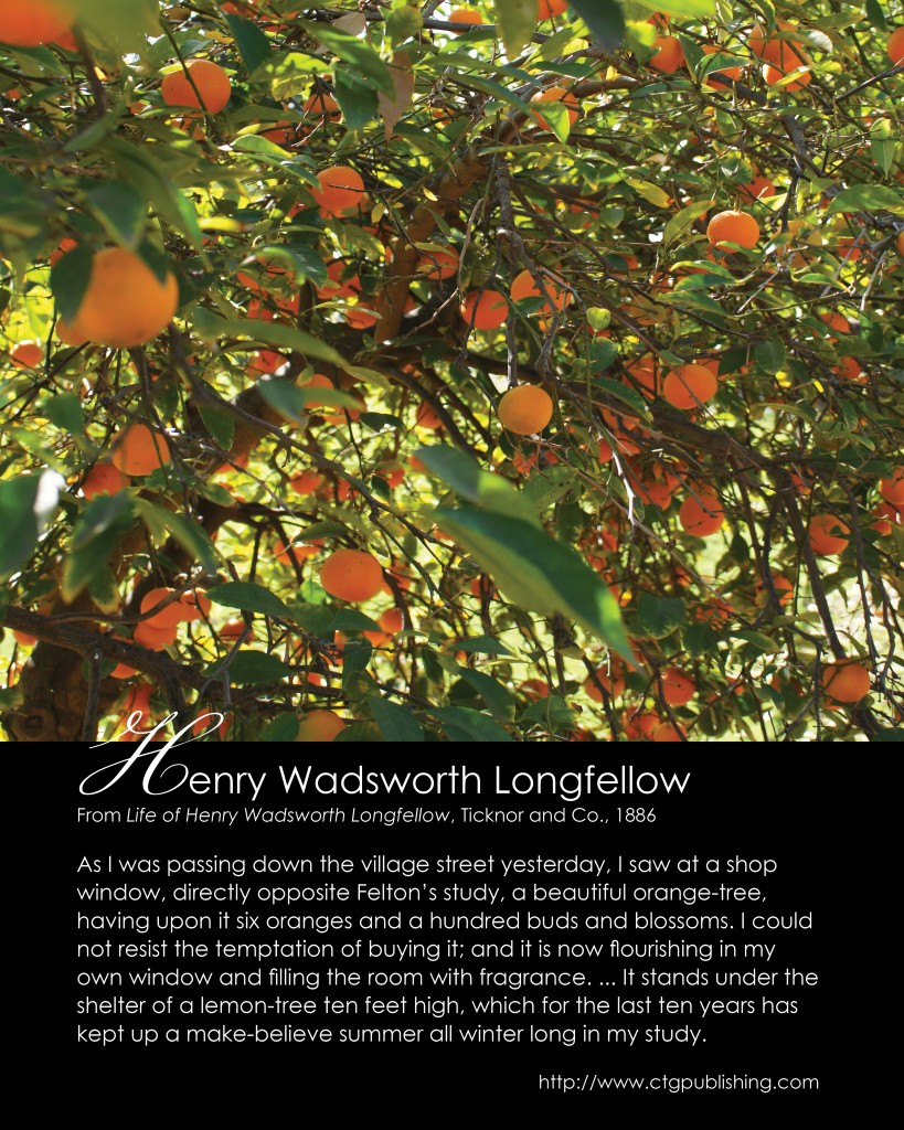 Henry Wadsworth Longfellow - Orange Tree Quote - Photo by CTG Publishing