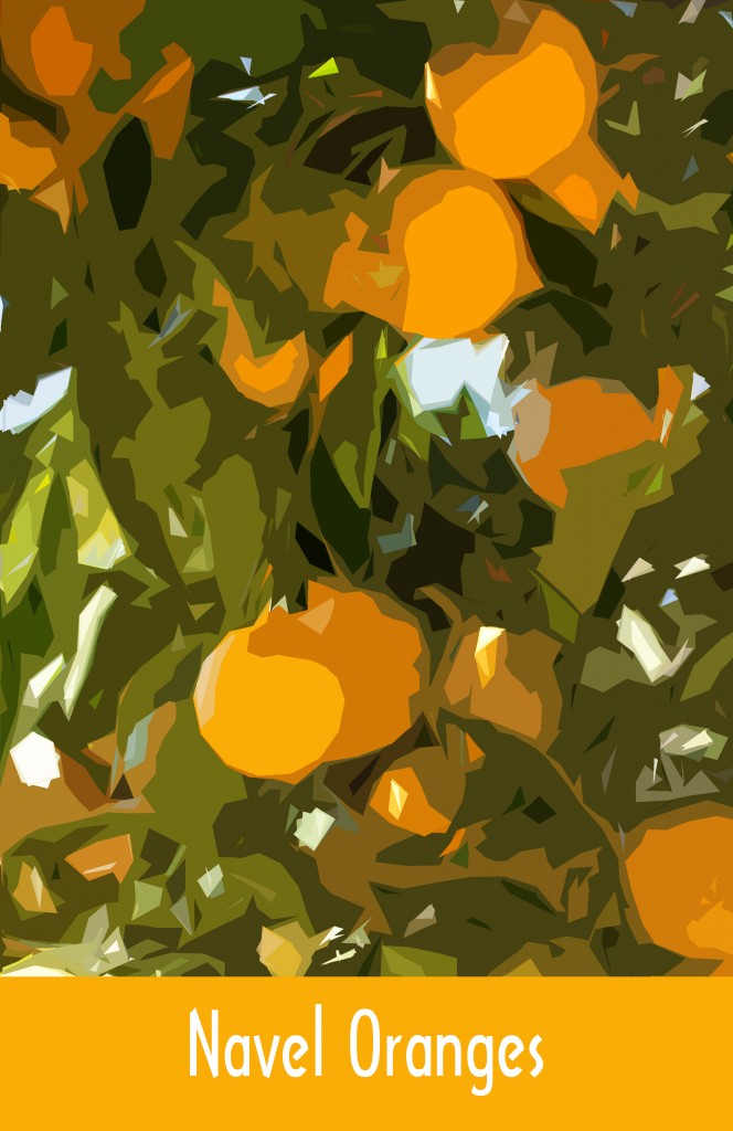 Navel Orange Tree - Image by Melanie Widmann