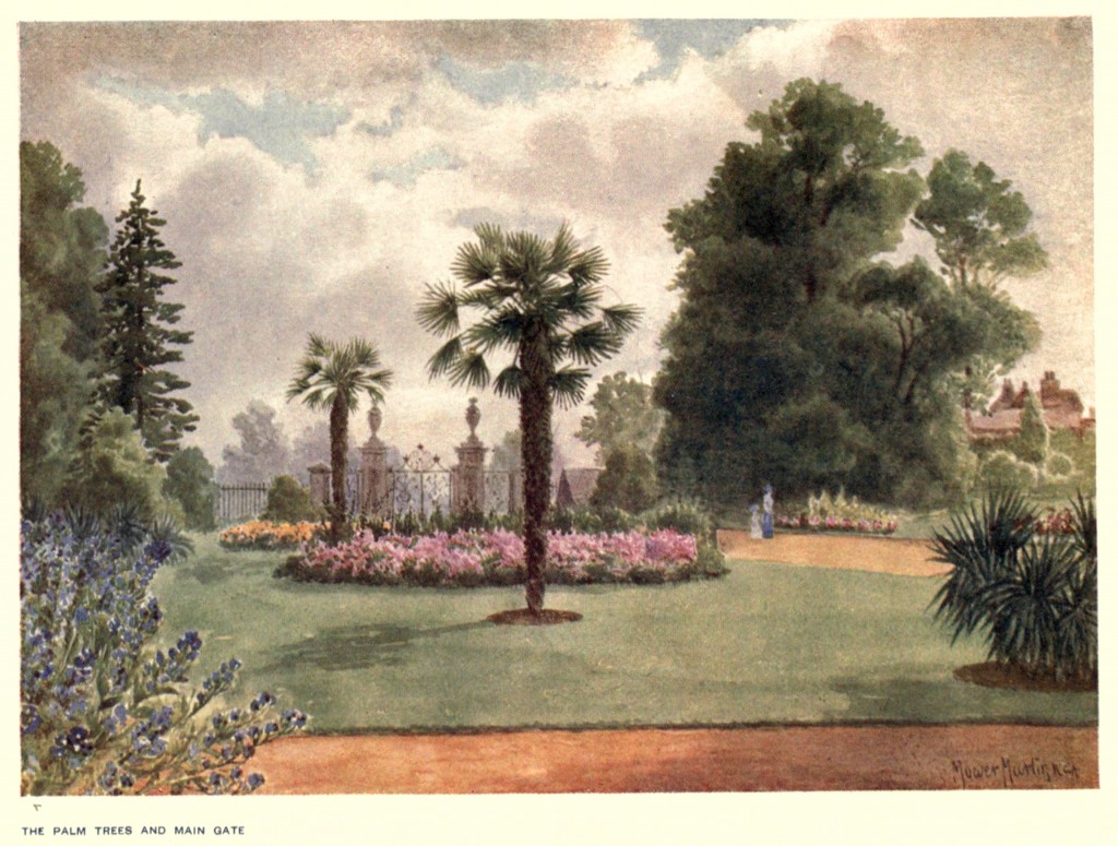 Palm Trees at the Royal Botanic Gardens, Kew Circa 1908 By T Mower Martin
