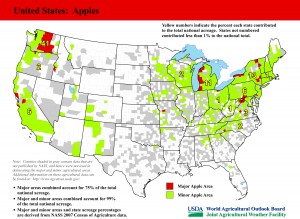 Map: United States Top Apple Producing Areas and Growing Season