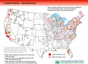 Map: United States Top Strawberry Producing Areas and Growing Season