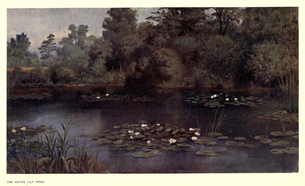 Water Lily Pond at the Royal Botanic Gardens, Kew Circa 1908 By T Mower Martin