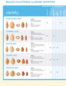 Types of California Almonds